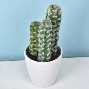 Mini Cacto Artificial em Vaso – Decoração Sustentável e Charmosa