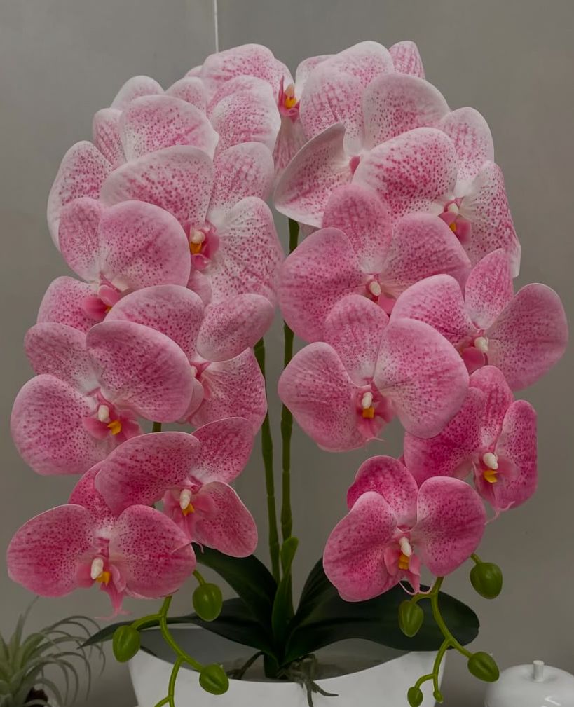Orquídea Artificial em Vaso 59cm - FintaVita