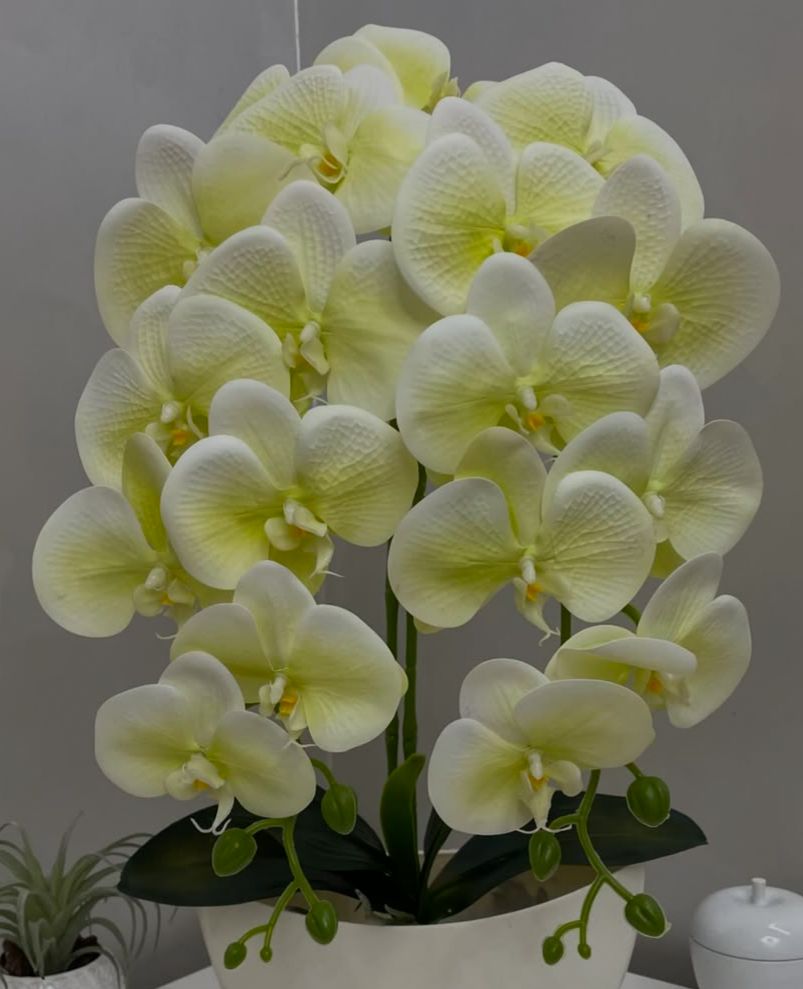 Orquídea Artificial em Vaso 59cm - FintaVita