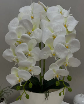 Orquídea Artificial em Vaso 59cm - FintaVita