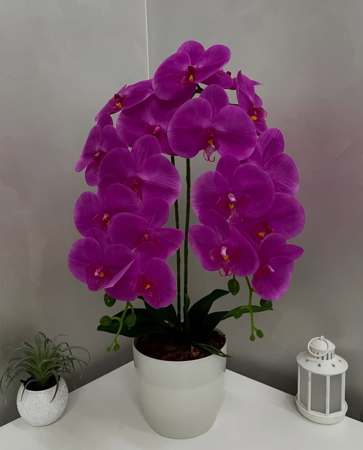 Orquídea Artificial em Vaso 59cm - FintaVita