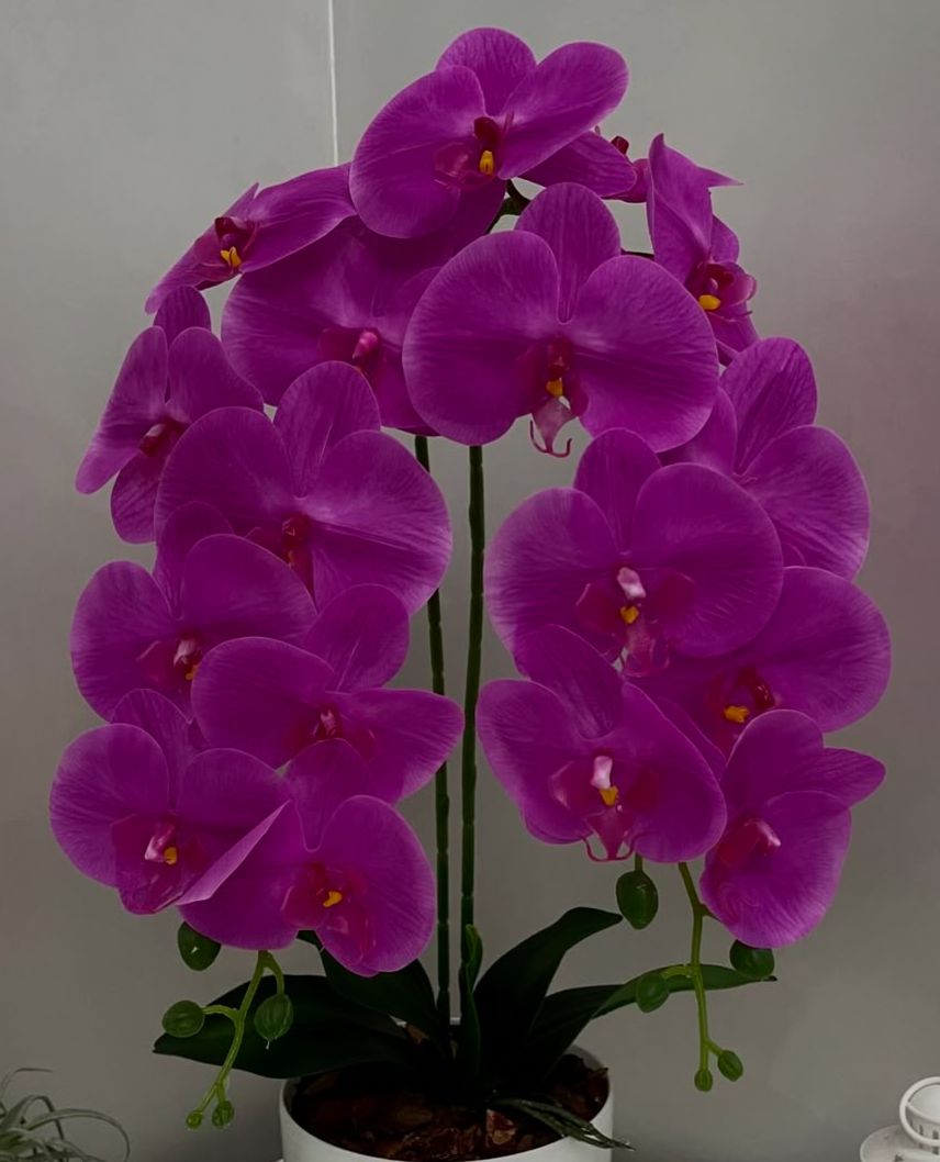 Orquídea Artificial em Vaso 59cm - FintaVita