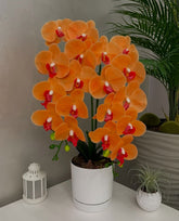 Orquídea Artificial em Vaso 59 cm - FintaVita