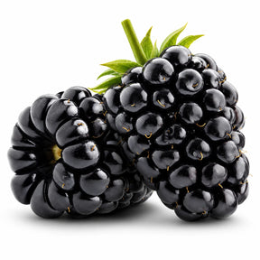 Sementes de Amora Gigante — Frutos Grandes para Casa com Manual de Cultivo