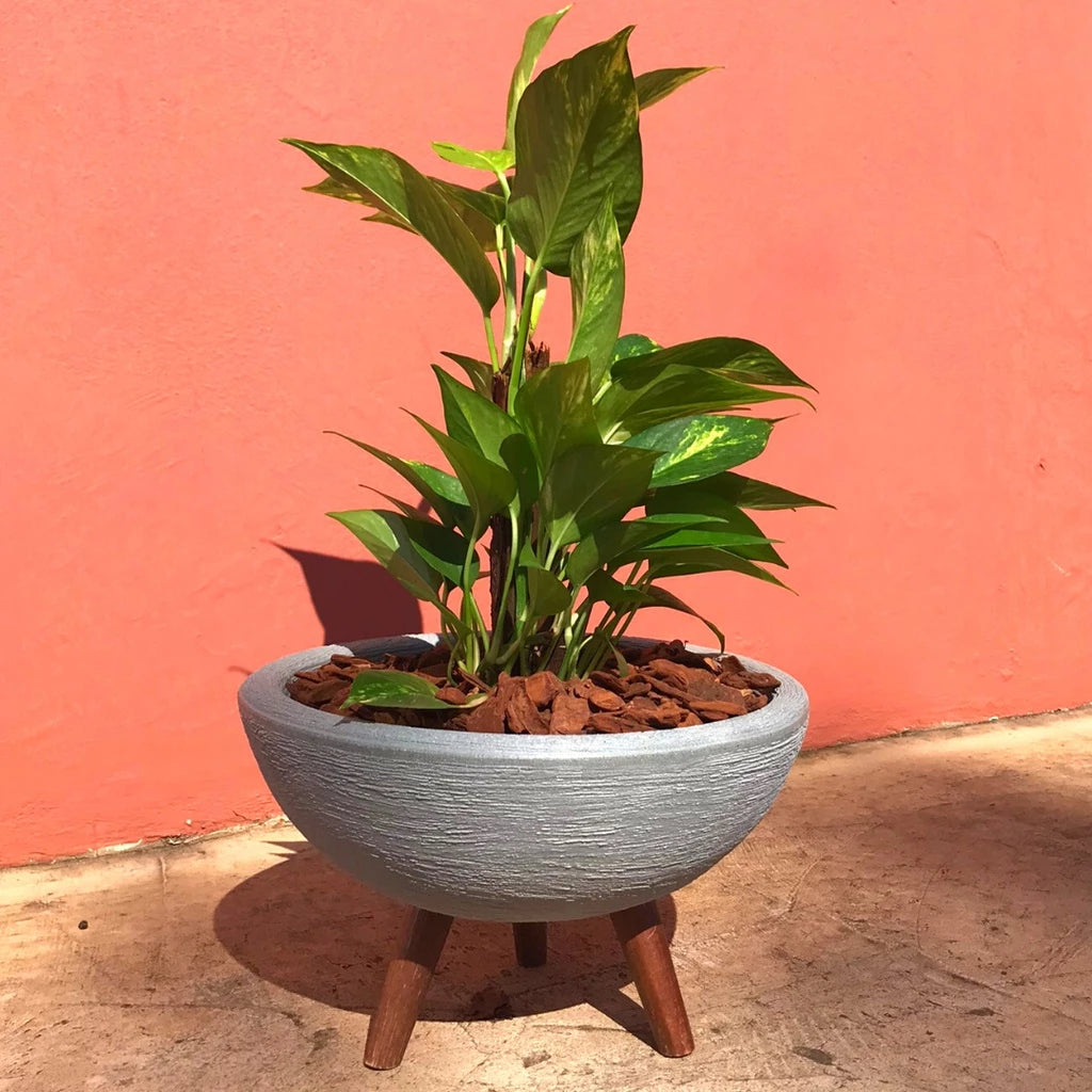 Vaso Bacia 30cm De Polietileno  Com Tripé de Madeira Decorativo Para Flores E Plantas
