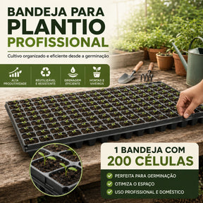 Bandeja Sementeira para Mudas