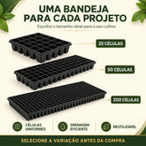 Bandeja Sementeira para Mudas