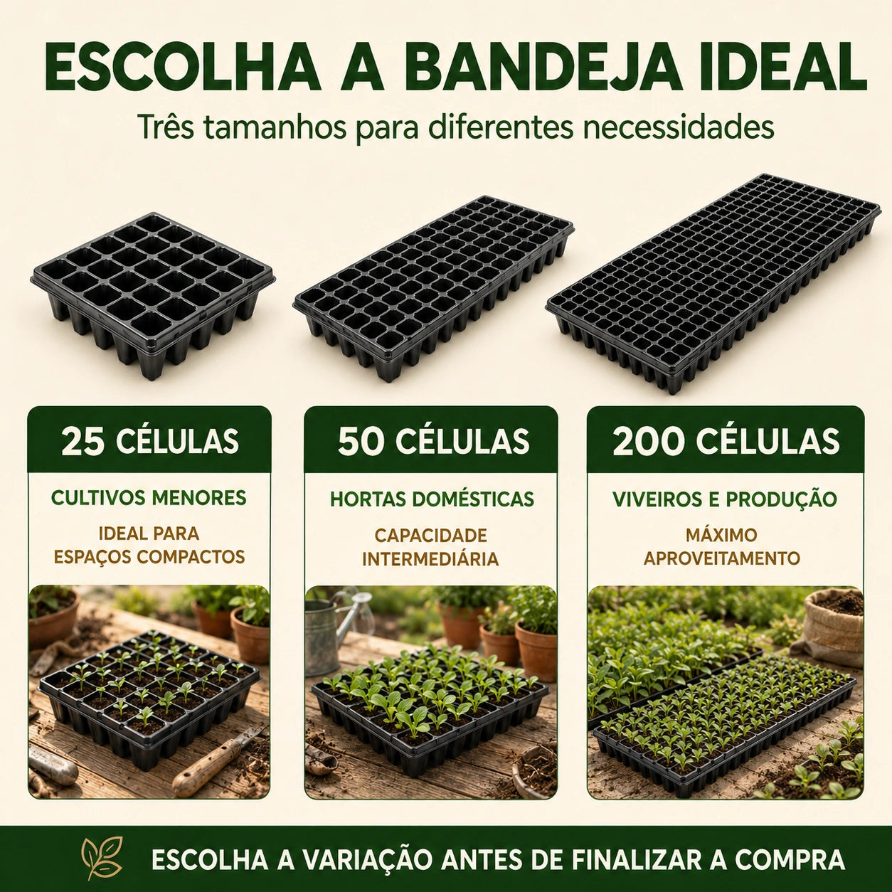 Bandeja Sementeira para Mudas