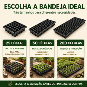Bandeja Sementeira para Mudas