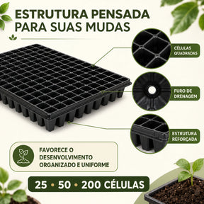 Bandeja Sementeira para Mudas