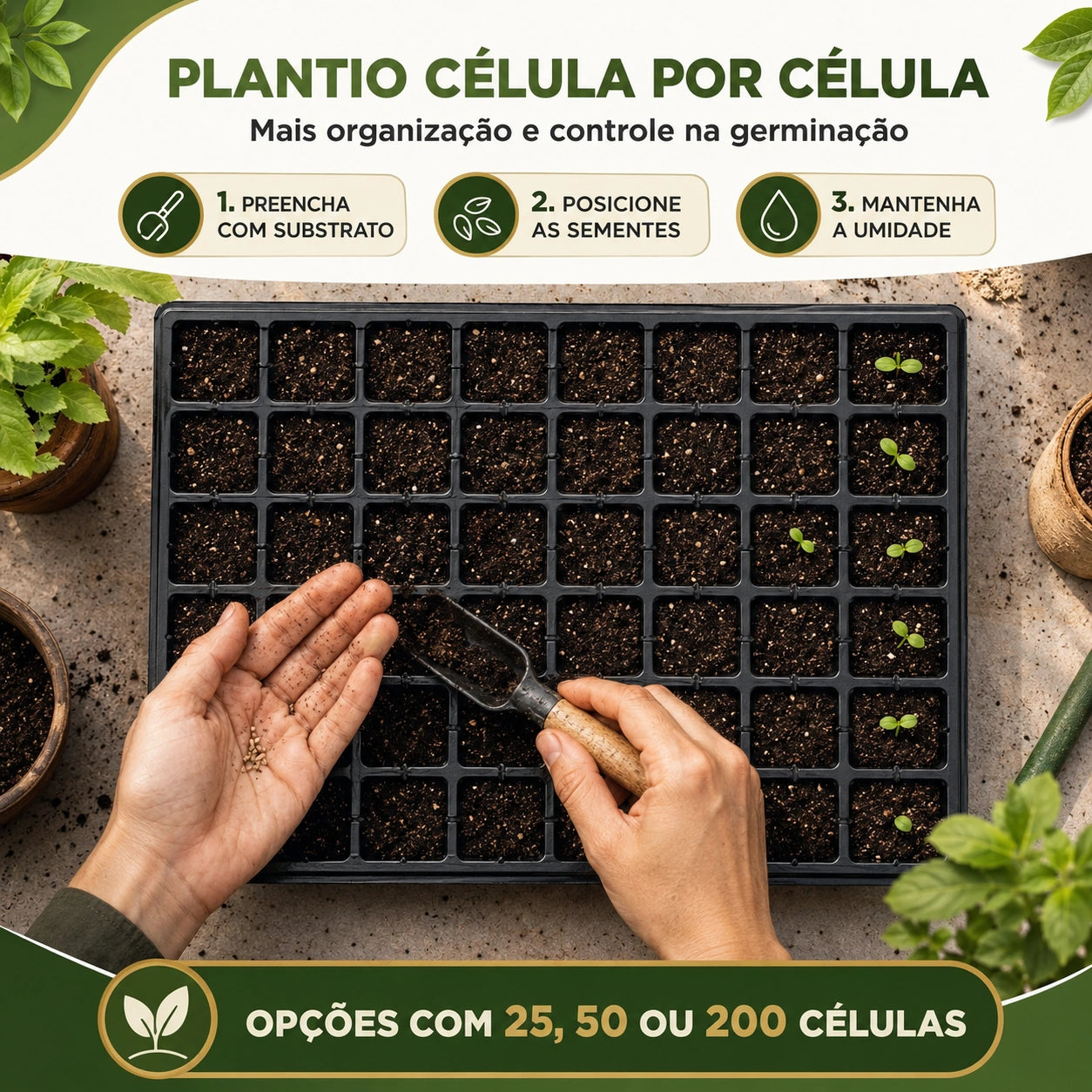 Bandeja Sementeira para Mudas