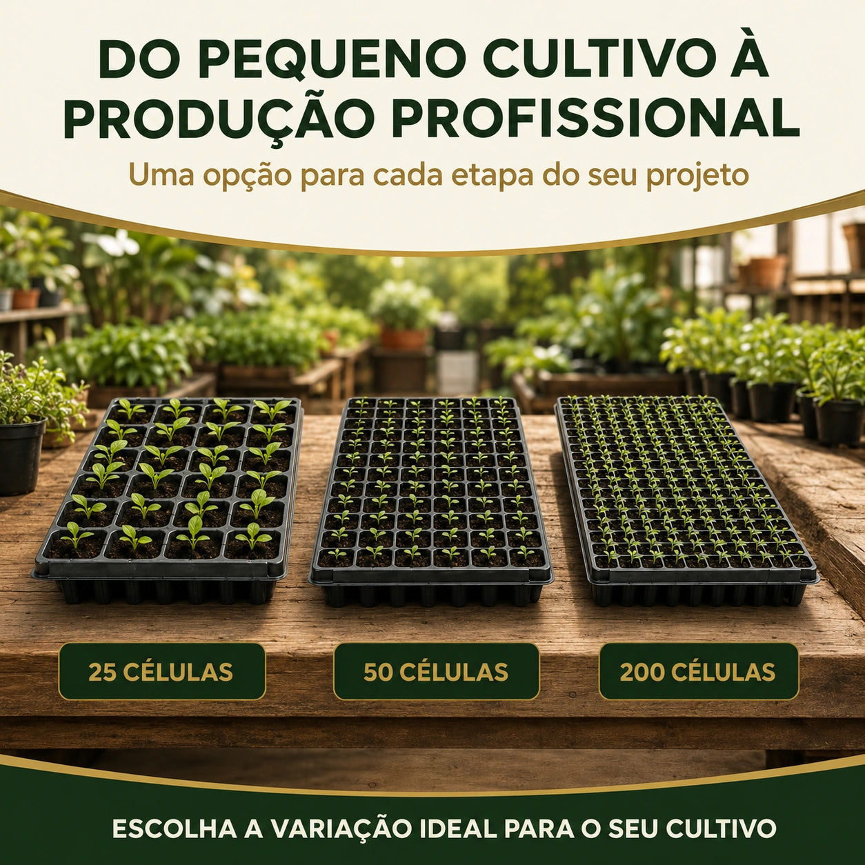 Bandeja Sementeira para Mudas
