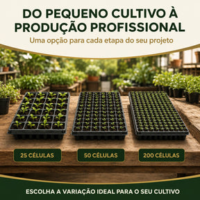 Bandeja Sementeira para Mudas