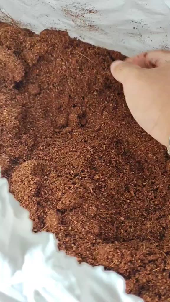 Fibra de Coco em Pó 20 litros Lavado Premium Natural Orgânico