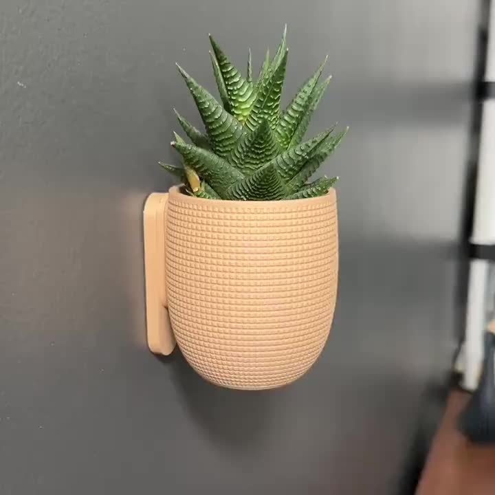 Vasos de Parede Decorativos para Plantas Suculentas - Linha Fioralto