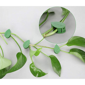 Suporte para Plantas Trepadeiras com Ganchos Folha Autoadesivos