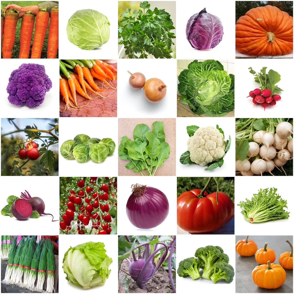 Kit 12 Mil Sementes de Verduras e Legumes 47 Variedades Separadas