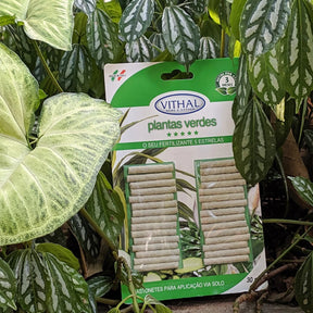 Fertilizante em Bastonetes NutriForte  – 30 Unidades - Nutrição Prolongada e Liberação Gradual De Nutrientes para Suas Plantas