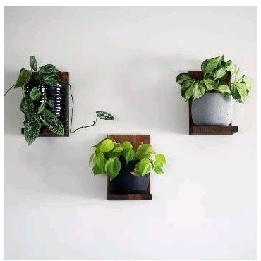 Kit com 2 Suportes para Mini Prateleira de Jardim Vertical para Vasos de Suculentas em Madeira Pinus