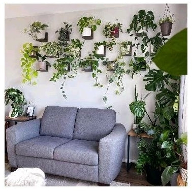 Kit com 2 Suportes para Mini Prateleira de Jardim Vertical para Vasos de Suculentas em Madeira Pinus
