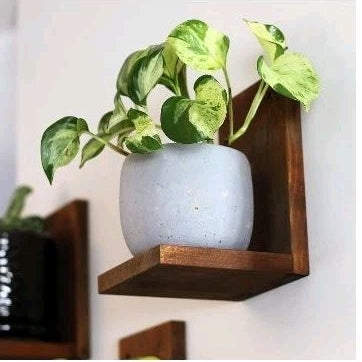 Kit com 2 Suportes para Mini Prateleira de Jardim Vertical para Vasos de Suculentas em Madeira Pinus