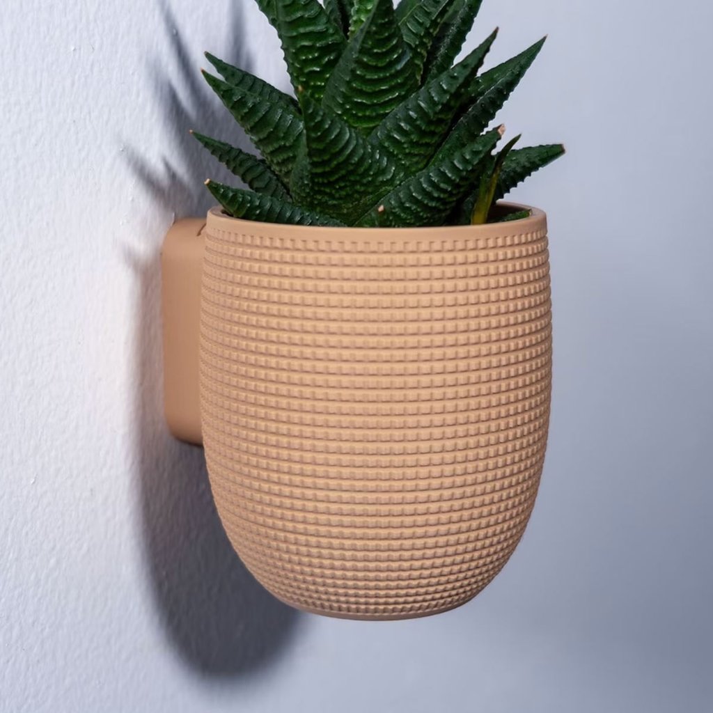 Vasos de Parede Decorativos para Plantas Suculentas - Linha Fioralto
