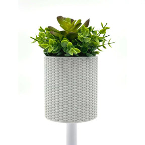 Vaso Cesta de Parede Decoração Planta Suculenta Ambientes - Linha Fioralto