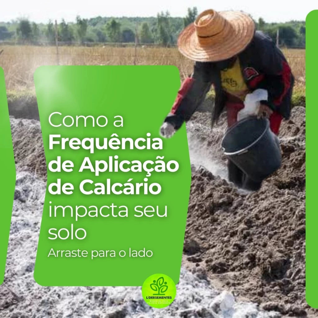 Calcário Agrícola Dolomítico Prnt 80% Fracionado Calcio e Magnésio Corretor De Solo Hortaliças Flores Rosas do Deserto G