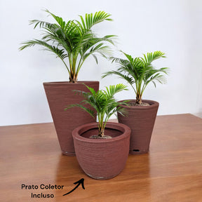 Kit 03 Vasos para Plantas Flor Coluna Redonda Escovada Em Polietileno Com pratos