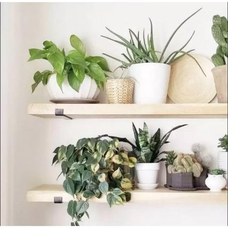 6 Prateleiras Grandes Industriais com Suporte de Ferro Invertido - Nicho para Decoração Rústica e Moderna