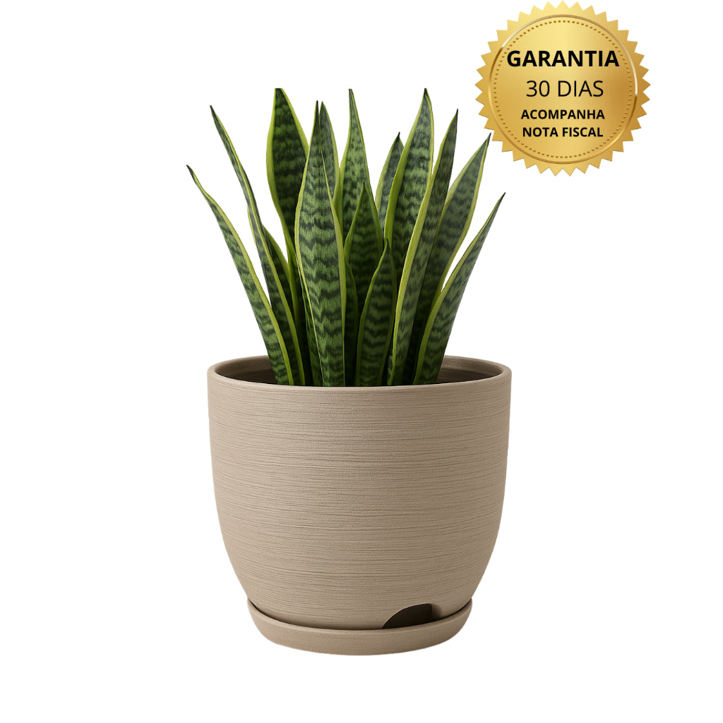 Vaso de Planta Polietileno Com Prato - Leveza, Estilo e Durabilidade