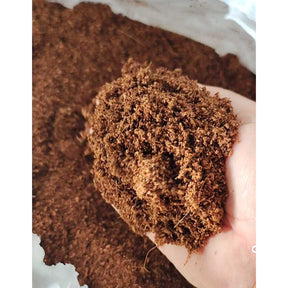 Fibra de Coco em Pó 20 litros Lavado Premium Natural Orgânico