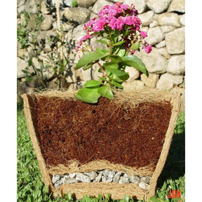 Pó De Coco Mágico Coquim Substrato Orgânico Para Plantas - Ideal para Vaso, Jardim, Orquídea, Rosa, Lírio, Suculenta e Horta