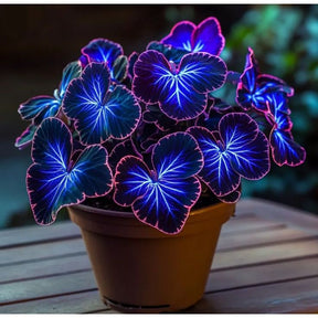 Sementes Raras de Caladium Neon Blue - 100 unidades para colecionador