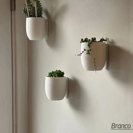Vasos de Parede Decoração Planta Suculenta Ambientes Kit Grid