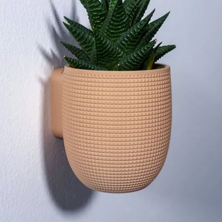 Vasos de Parede Decoração Planta Suculenta Ambientes Kit Grid