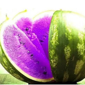 Sementes de Melancia Safira Roxa com guia de cultivo