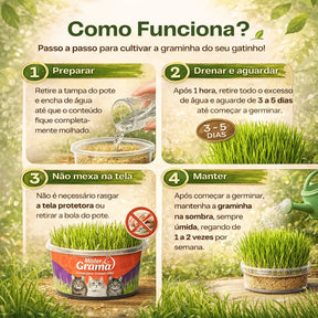Grama Para Gato Mister– Auxilia na Digestão e Bola de Pelo / Fácil de Plantar