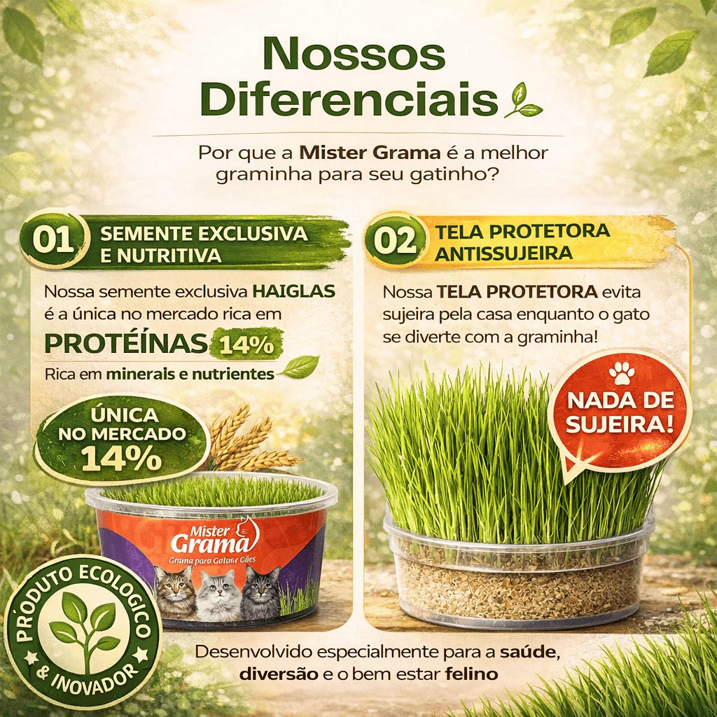 Grama Para Gato Mister– Auxilia na Digestão e Bola de Pelo / Fácil de Plantar