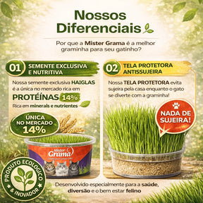 Grama Para Gato Mister– Auxilia na Digestão e Bola de Pelo / Fácil de Plantar