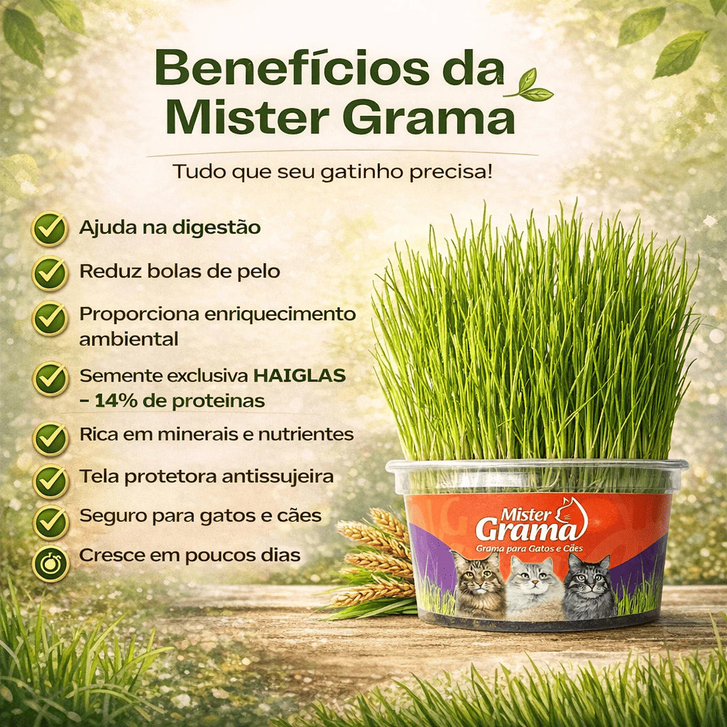 Grama Para Gato Mister– Auxilia na Digestão e Bola de Pelo / Fácil de Plantar