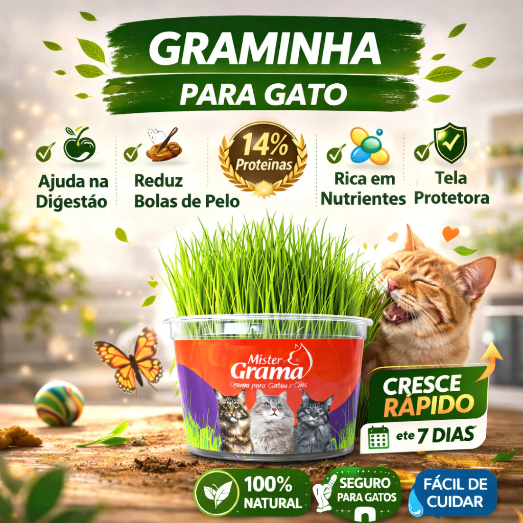 Grama para gato Mister auxilia na digestao e bola de pelo facil de plantar
