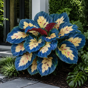 Sementes Raras de Caladium Viridivortex – 100 Unidades