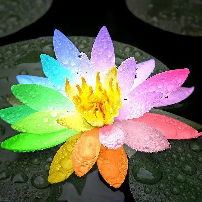 Flor de Lotus Significado De Pureza - Sementes Selecionadas