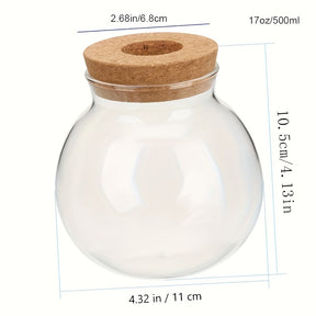 Vaso de Planta Hidropônico de Vidro Moderno