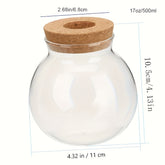 Vaso de Planta Hidropônico de Vidro Moderno