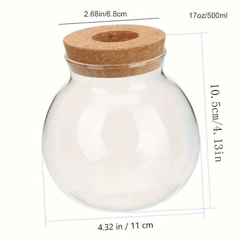 Vaso de Planta Hidropônico de Vidro Moderno
