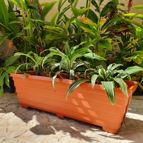 Vaso Jardineira para Plantas Floreira de Plástico de Jardim