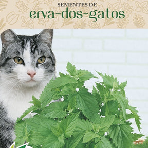 Ervas dos gatos - Catnip acalma o gato - Envelope Com 400 Sementes