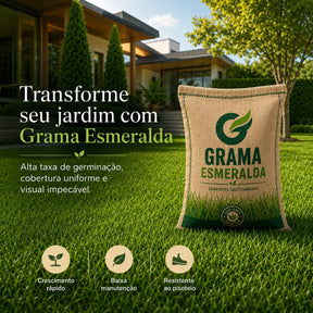 Sementes de Grama Esmeralda Premium – Gramado Denso e Macio
